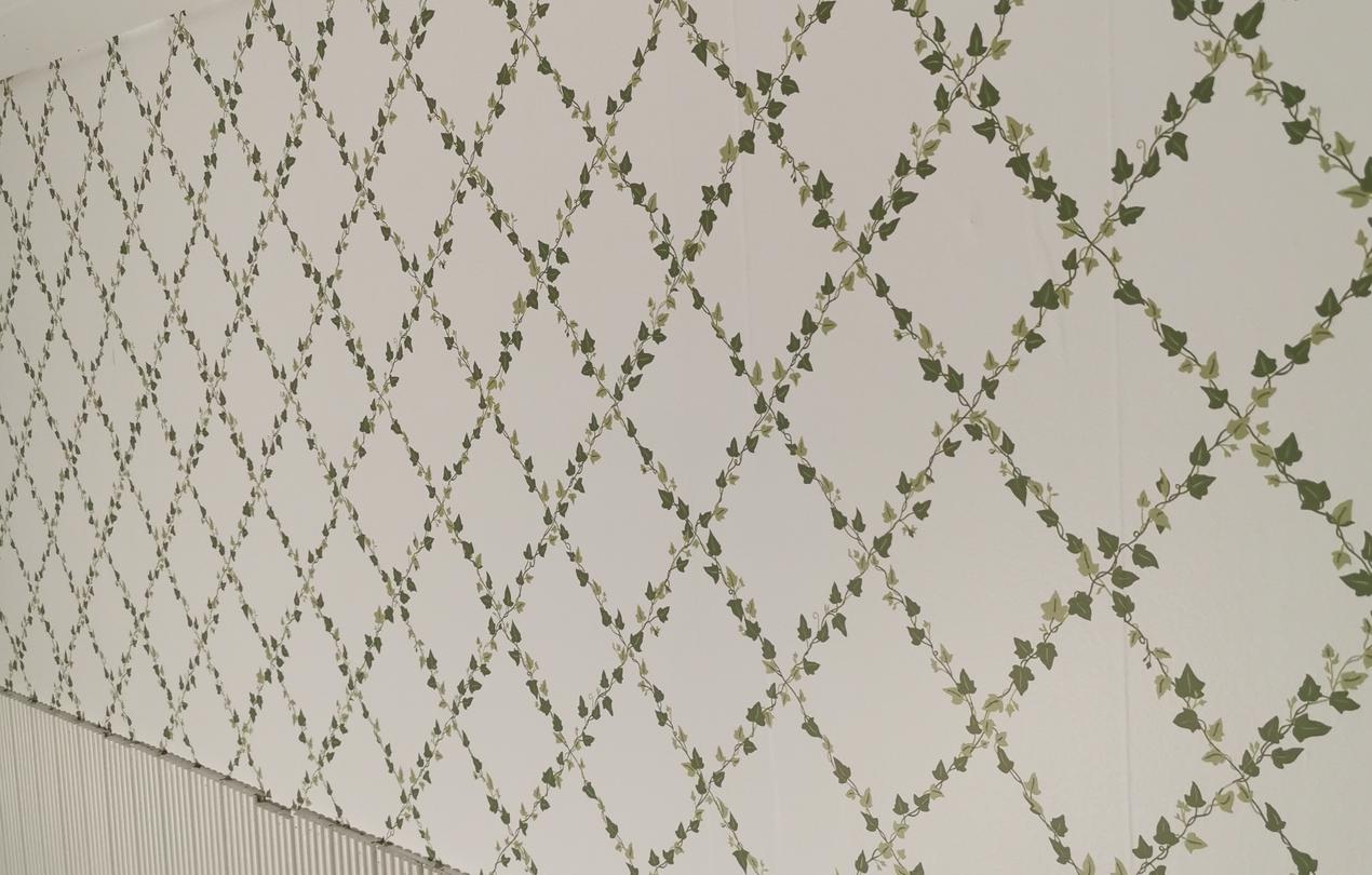 Starttimaalaus Oy:n yritt&auml;j&auml; Nooran tapettitaidonn&auml;yte tapetointikohteessa